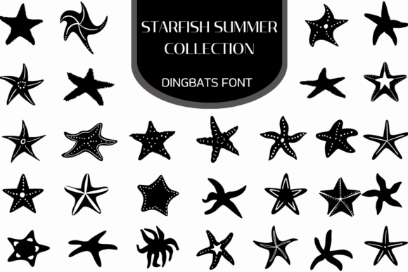 Starfish Summer Collection: A Creative Toolkit for Coastal Design